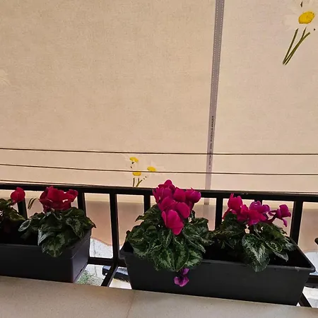 Center Apartment Tirana